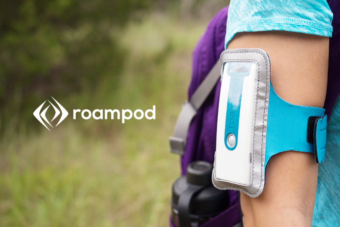 Roampod Infographics